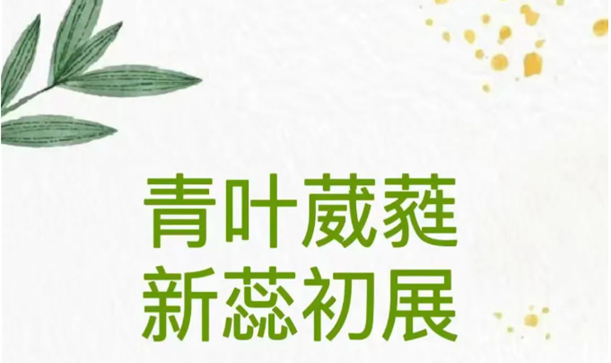 青叶葳蕤 新蕊初展丨香宝宝幼儿园2024年青年教师综合技能大赛